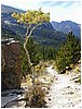 094-trail-2.JPG