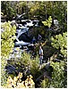 097-stephanie_han_tj_at_stream.JPG
