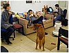 P1010056.JPG