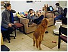 P1010058.JPG