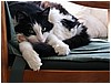 P1010060.JPG