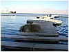 P1010150.JPG