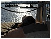 P1010153.JPG