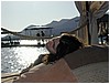 P1010154.JPG