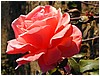 P1010080.JPG