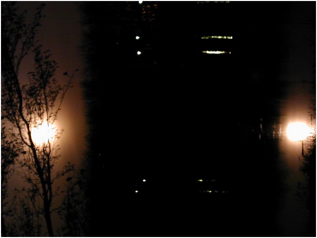 P1010024.JPG