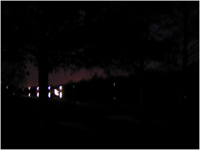 P1010027.JPG