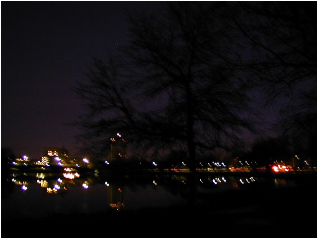 P1010028.JPG