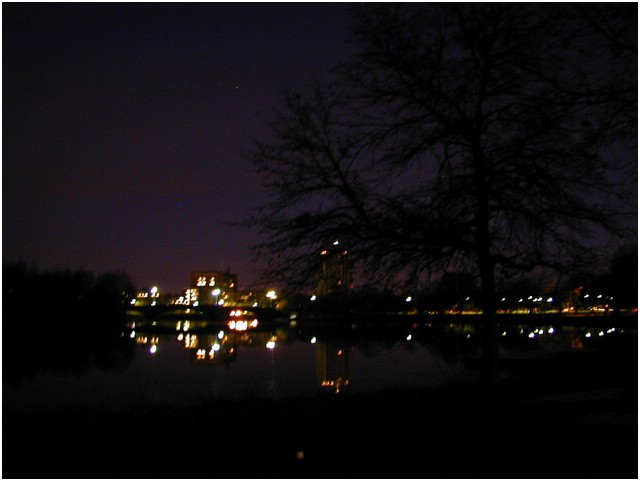 P1010029.JPG