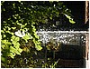 P1010087.JPG