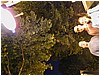 P1010112.JPG