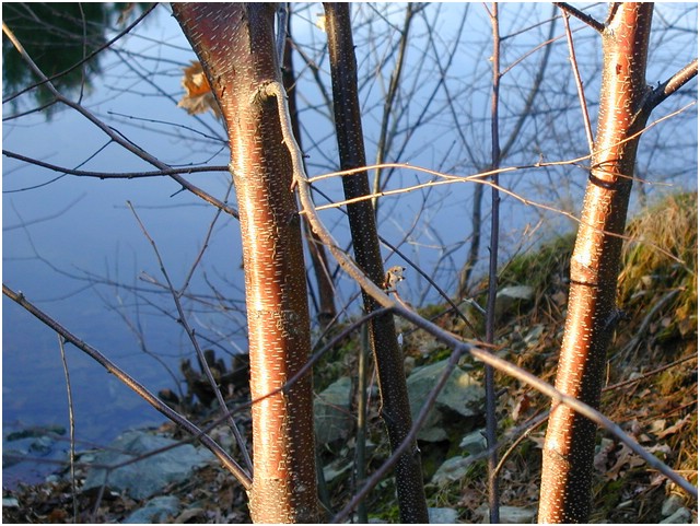 P1010045.JPG