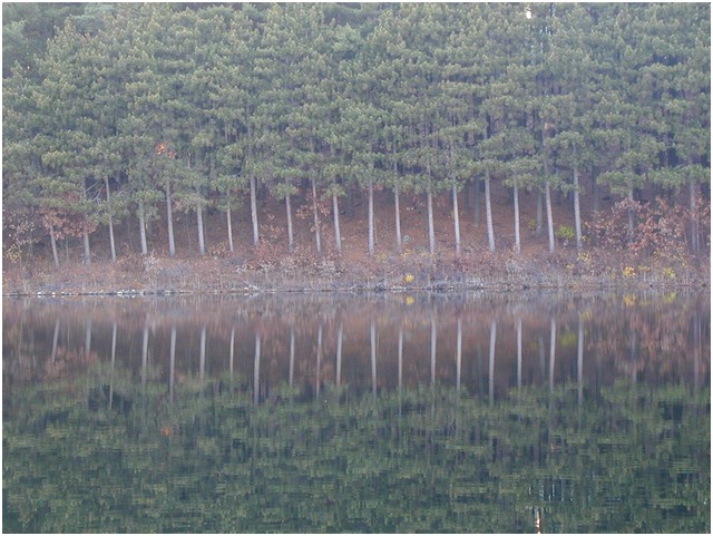 P1010057.JPG