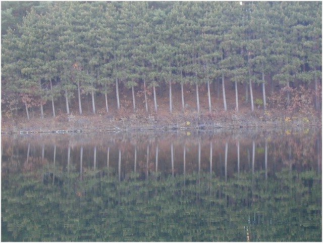 P1010058.JPG
