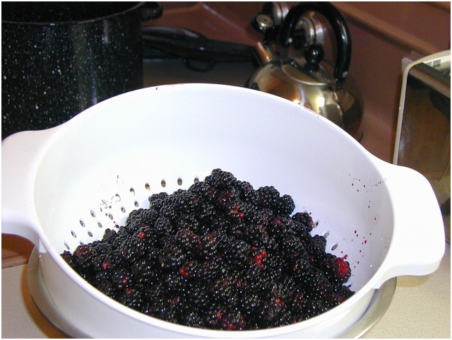 P1010110.JPG