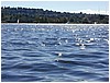 P1010086.JPG