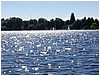 P1010088.JPG