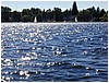 P1010089.JPG
