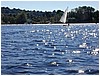 P1010090.JPG