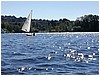 P1010091.JPG