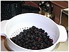 P1010110.JPG