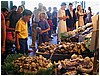 P1010148.JPG