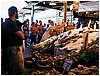 P1010150.JPG
