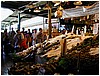 P1010152.JPG