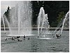 P1010122.JPG