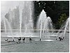 P1010123.JPG