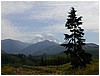 P1010154.JPG