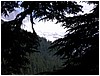P1010167.JPG