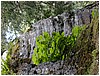 P1010177.JPG