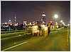 37-harvard_bridge.jpg