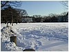 P1010167.JPG