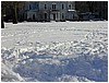 P1010169.JPG