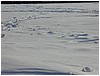 P1010181.JPG