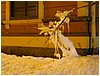 P1010018.JPG