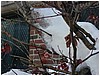 P1010062.JPG