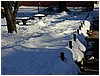 P1010065.JPG