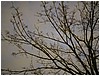 P1010069.JPG