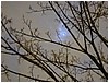 P1010072.JPG