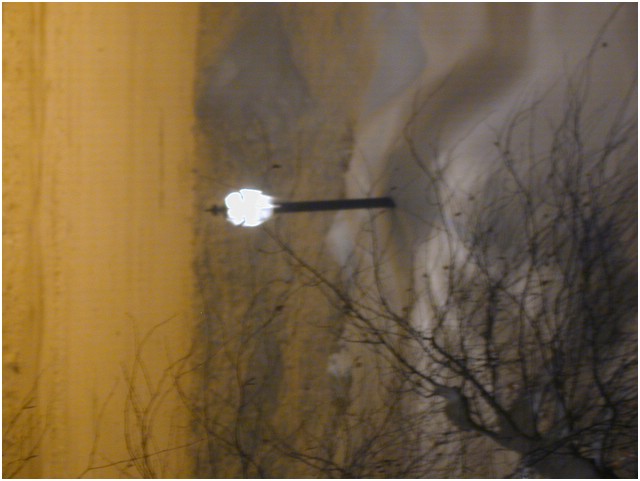 P1010023.JPG