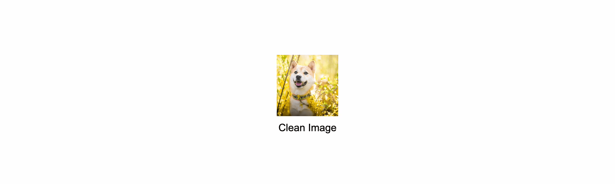 [Contrastive Poisoning]