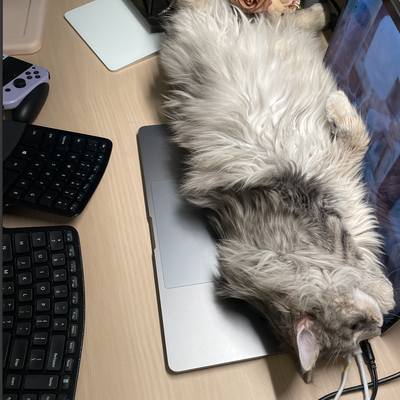 media/albums/cat3/Screen Shot 2022-03-19 at 3.12.54 PM.png