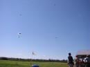 IMG_2298 * 1600 x 1200 * (344KB)