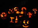 IMG_2354 * 1600 x 1200 * (255KB)