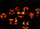 IMG_2355 * 1600 x 1200 * (248KB)