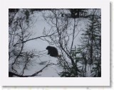 IMG_3706 * 1600 x 1200 * (705KB)