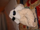IMG_1621 * 1600 x 1200 * (472KB)